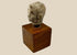 Small terracotta head fragment of a youthful male from the Hellenistic or early Roman period, with delicate features, subtle smile, and natural patina, mounted on a wooden display base.