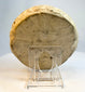 Central back view of carved stone sculpture showing smooth weathered surface
