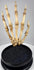 Historic human anatomy teaching specimen featuring a complete articulated skeletal hand from early 20th century London