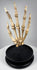 Side view of articulated human hand skeleton showing phalanges, metacarpals and carpal bones, circa 1900–1930