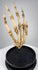 Antique osteological human hand specimen with articulated bones on original-style hardwood display base