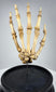 Adam, Rouilly & Co. London articulated human hand skeleton used for medical and anatomical education circa 1900–1930