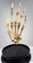 Close-up of articulated human finger bones and joints on an early 20th century British anatomical teaching specimen