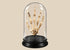 Human hand skeleton under glass dome on hardwood base, antique medical teaching specimen by Adam, Rouilly & Co., London, circa 1900–1930