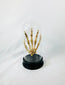Early 20th-century articulated human skeletal hand displayed under glass dome