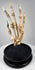 Vintage British medical teaching skeleton of a human hand professionally articulated and mounted for anatomical study