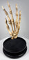 Vintage British medical teaching skeleton of a human hand professionally articulated and mounted for anatomical study