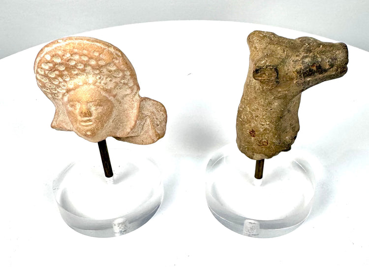 Roman female terracotta head with elaborate coiffure and Mesopotamian bovine fragment representing two distinct ancient sculptural traditions.