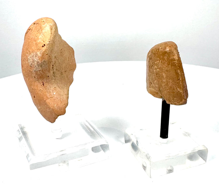 Ancient Mediterranean terracotta female heads with contrasting rounded and intricately patterned hairstyles, mounted on individual acrylic display stands.
