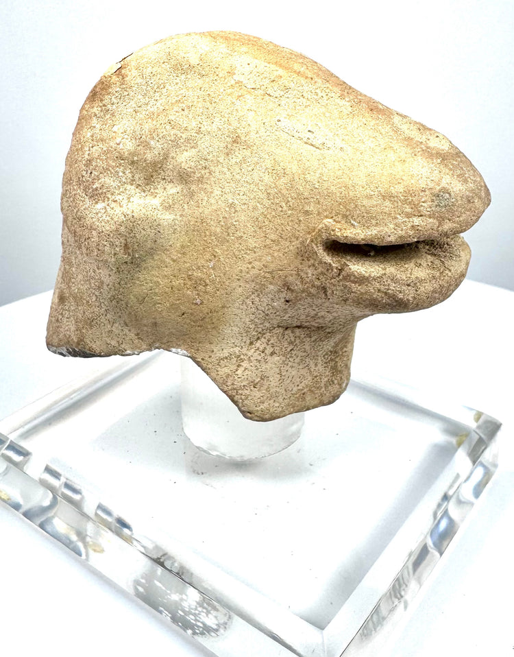 Eastern Mediterranean rhyton fragment with a hollow underside, projecting animal muzzle, and visible internal surface deposits.