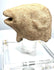Ancient ram-head rhyton spout fragment with a broad upper head, separated upper and lower jaws, and weathered sandy-beige surface.