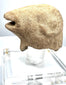 Ancient ram-head rhyton spout fragment with a broad upper head, separated upper and lower jaws, and weathered sandy-beige surface.