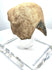 Ancient stone animal-head sculpture exhibiting extensive weathering, scattered mineral-like encrustations, and irregular fragmentary edges.