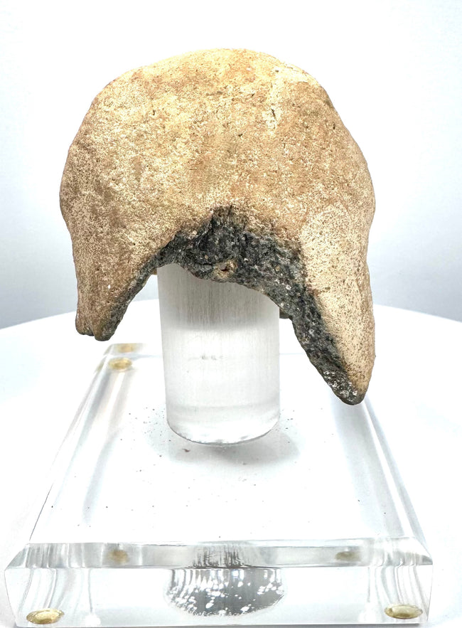 Ancient zoomorphic vessel fragment displaying a pronounced jaw opening, rounded sculptural contours, and pale buff-coloured porous material.