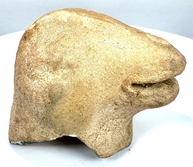 Archaic–Classical animal-head fragment featuring weathered sculptural details, granular surface texture, and darker mineral-like deposits along its underside.