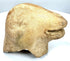 Archaic–Classical animal-head fragment featuring weathered sculptural details, granular surface texture, and darker mineral-like deposits along its underside.