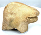 Archaic–Classical animal-head fragment featuring weathered sculptural details, granular surface texture, and darker mineral-like deposits along its underside.