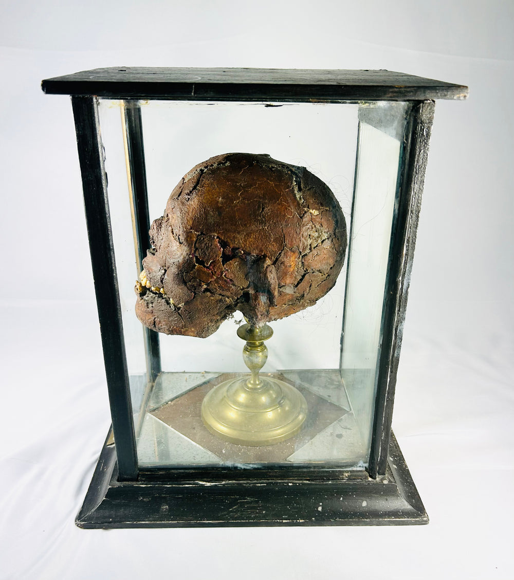 19th-century mummified head ‘TIC’, clay and human teeth, displayed in custom wood and glass case