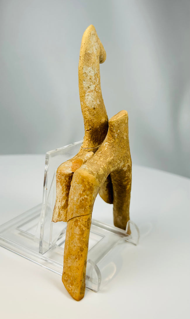 Ancient Greek votive horse figure discovered in Boeotia region