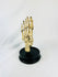Early 20th-century articulated human foot skeleton mounted under a glass dome on a black hardwood base, prepared by Adam Rouilly & Co. of London — medical teaching specimen rotating for display.
