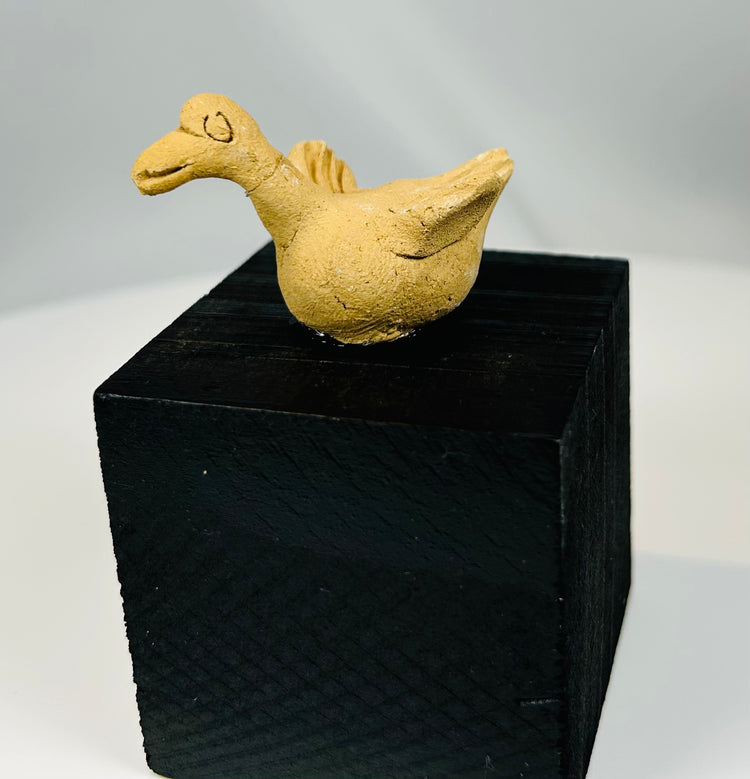 Small Pre-Columbian clay bird sculpture from West Mexico showing incised eye and curved beak detail