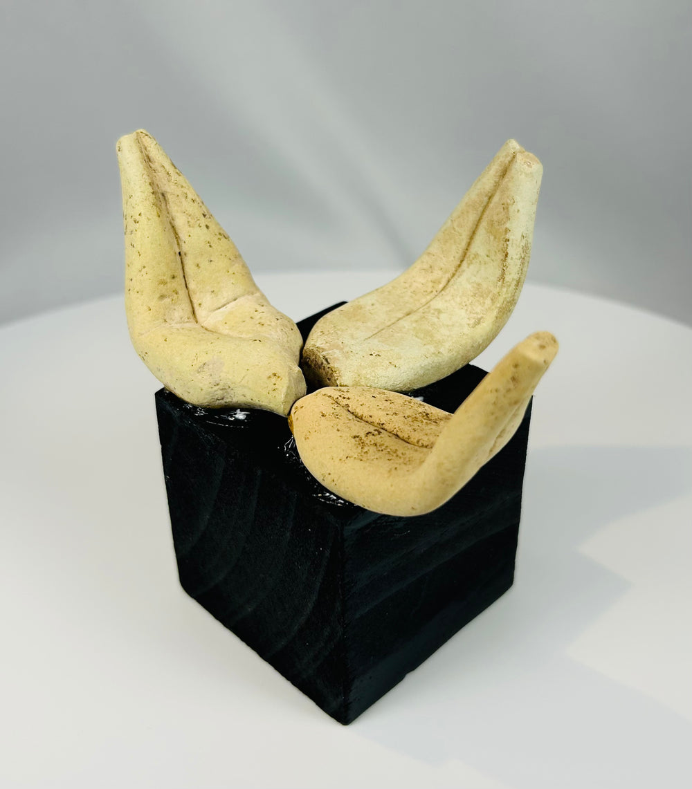 Archaeological Pre-Columbian pottery fragments showing hand-formed terracotta craftsmanship