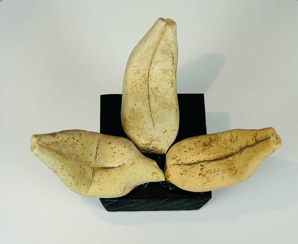 Mounted Pre-Columbian ceramic pottery fragments from ancient American civilization