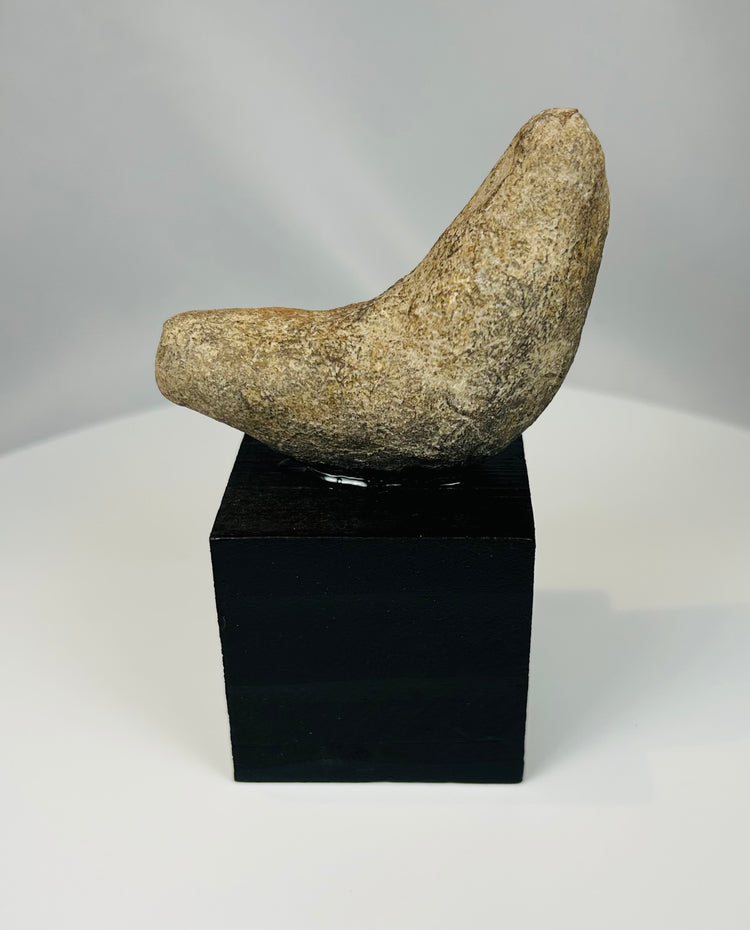 Pre-Columbian stone implement with ergonomic curved form from indigenous American culture