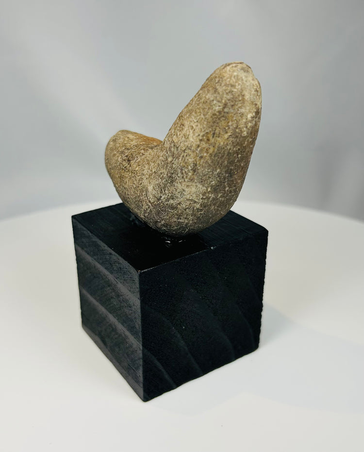 Authentic Pre-Columbian ground stone artifact showing surface wear from ancient use