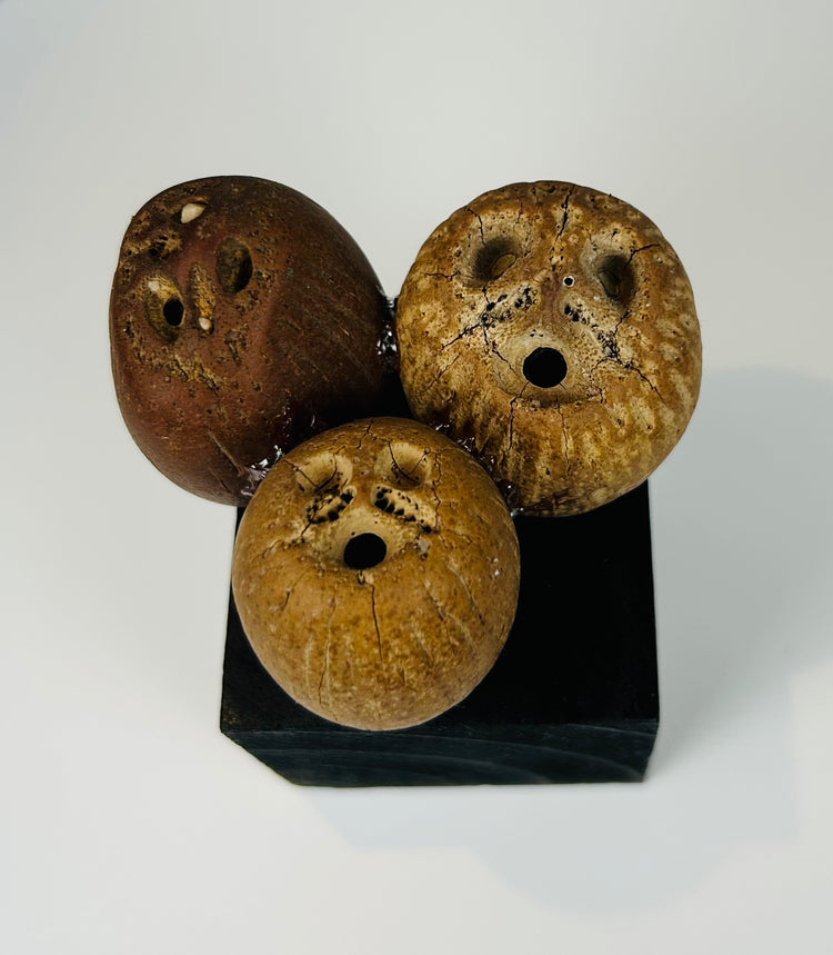 Group of three Pre-Columbian seed pods used in indigenous musical instruments
