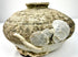 Fifteenth–sixteenth-century Chinese stoneware jarlet featuring a rounded discoid form, narrow neck, and visible surface weathering from centuries beneath the sea.