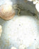 Ancient Chinese Ming Dynasty stoneware jarlet featuring a prominent marine shell encrustation attached near its opening, reflecting centuries of underwater submersion.