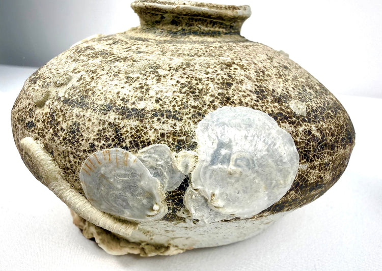 Ming Dynasty shipwreck pottery jar from the Philippines, displaying scattered barnacle deposits, aged stoneware surfaces, and natural marine encrustations.