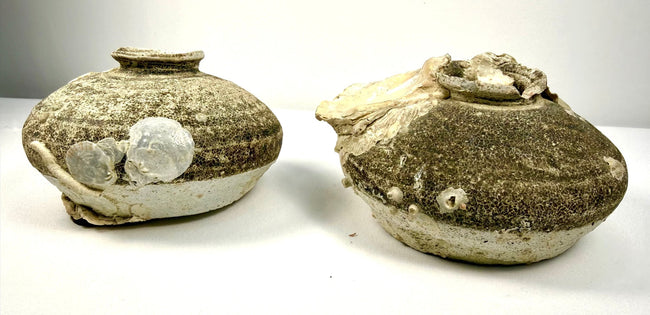 Pair of ancient Chinese Ming Dynasty stoneware jarlets dating to the 15th–16th century CE, recovered from a Philippine shipwreck with preserved marine encrustations.