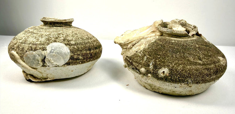 Pair of ancient Chinese Ming Dynasty stoneware jarlets dating to the 15th–16th century CE, recovered from a Philippine shipwreck with preserved marine encrustations.