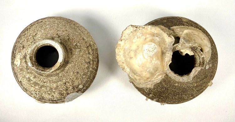 Chinese Ming Dynasty shipwreck artifacts featuring two brown-glazed stoneware jarlets with distinctive rounded forms, marine shell encrustations, and archaeological patina.