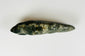 Pre-Columbian jade-like animal carving with polished surface and suspension hole