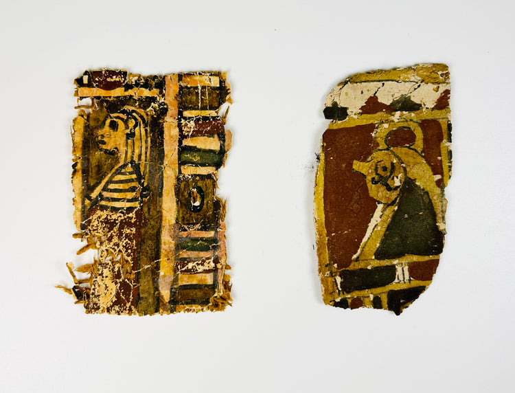 Ancient Egyptian coffin fragments showing profile figure and painted pigments