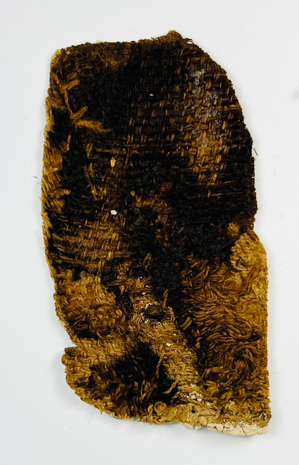 Egyptian cartonnage fragments displaying traditional profile figure artwork