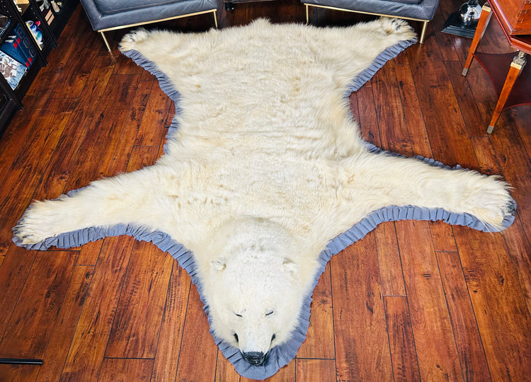 Alfombra antigua y rara de oso polar | Taxidermia de Alaska de principios del siglo XX 