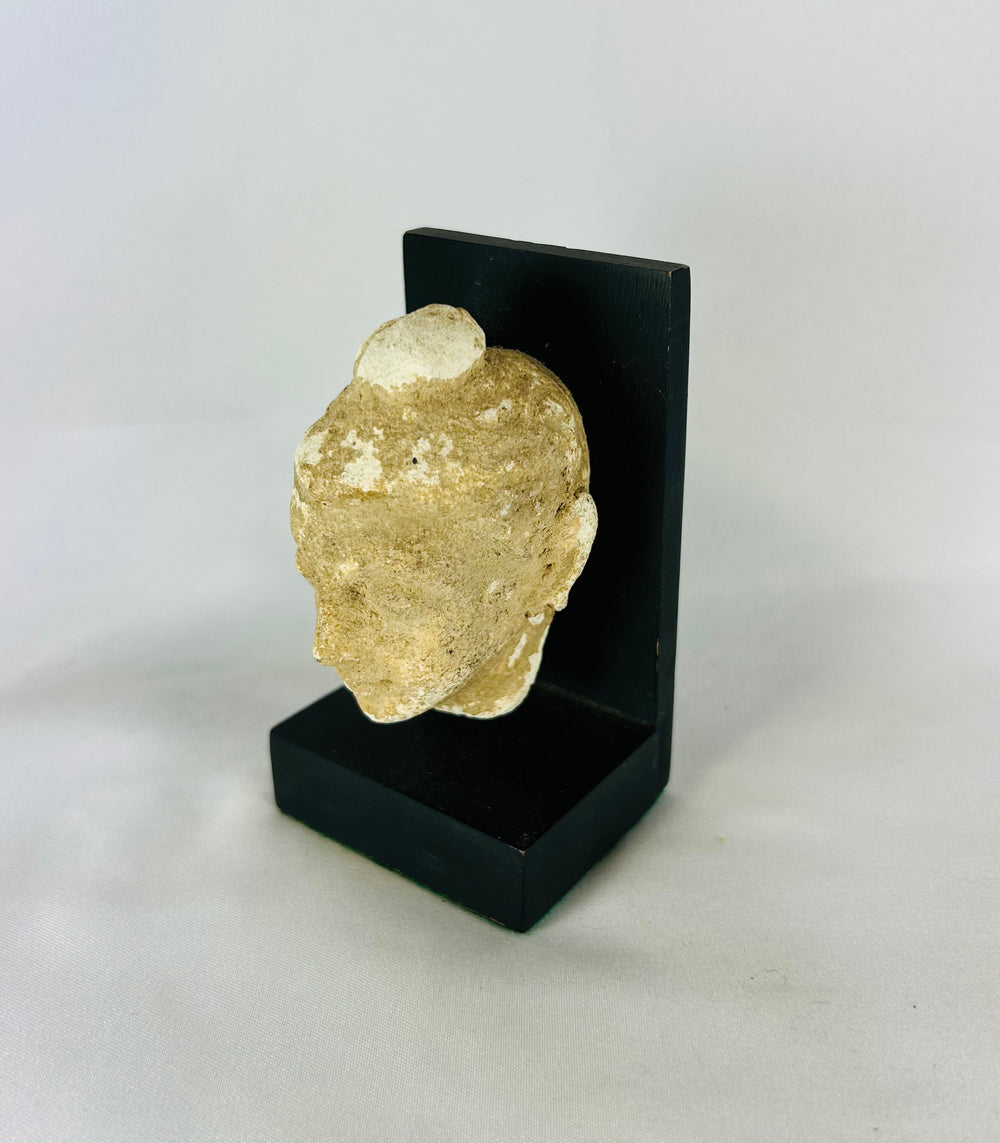 Gandharan Buddha head fragment displayed on a black stand, photographed from the front against a white background.