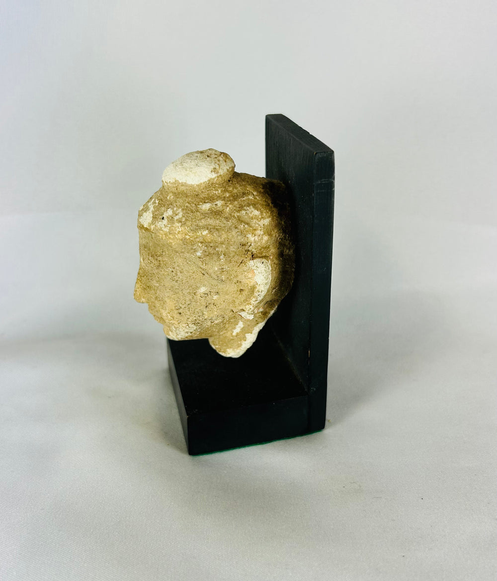 Gandharan Buddha head fragment displayed on a black stand, photographed from the front against a white background.