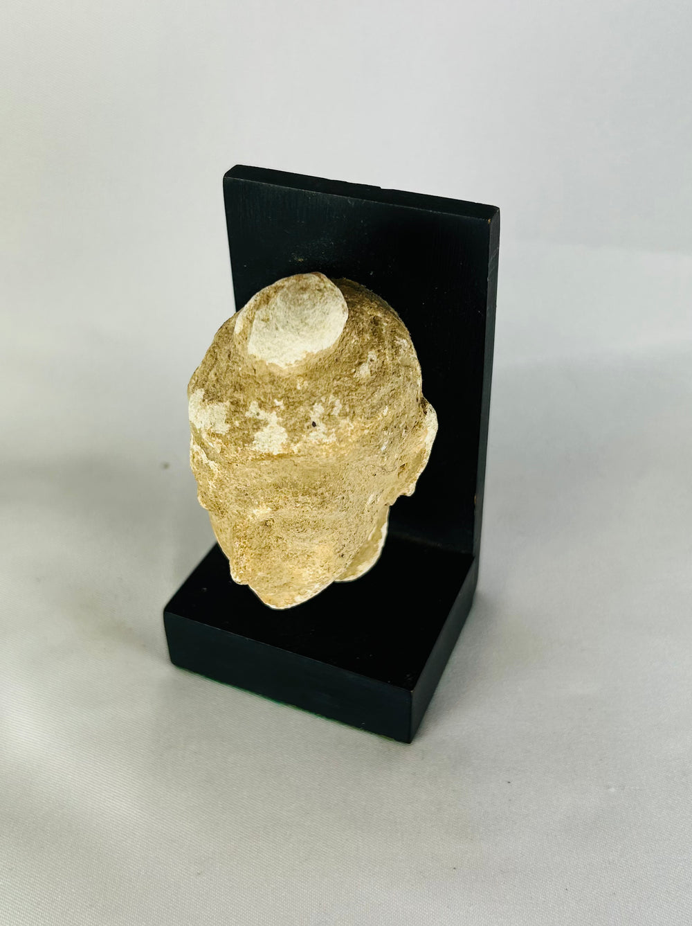Rear-angle view of an ancient Gandharan Buddha head fragment on a black stand against a white backdrop.