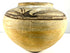Early 20th-century Mexican terracotta olla with a rounded body, gently flared neck, and traditional dark pigment decoration.