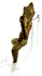 Bronze sculpture side profile on clear acrylic stand showing depth
