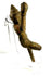 Side profile of antique bronze dancer pose on transparent display stand