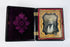 Authentic Victorian daguerreotype in original thermoplastic case with fruit basket motif