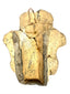 Back detail of ancient Mesoamerican artifact revealing hollow channel and copper wire frame