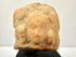 Direct close-up of Gandharan terracotta fragment emphasizing central bust relief