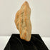 Side profile of ancient terracotta fragment displaying thin irregular edge and weathering